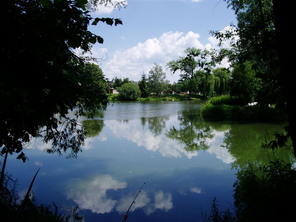P1010116.jpg
